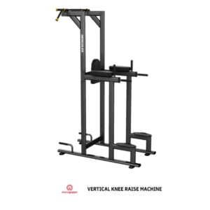 VERTICAL KNEE RAISE MACHINE