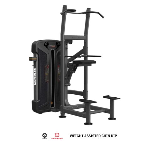 WEIGHT ASSISTED CHIN DIP