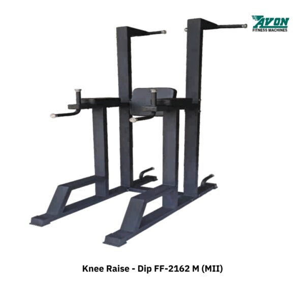 Avon Knee Raise - Dip FF-2162 M (MII)